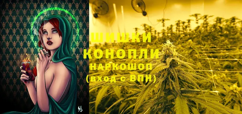 Конопля OG Kush  Моздок 